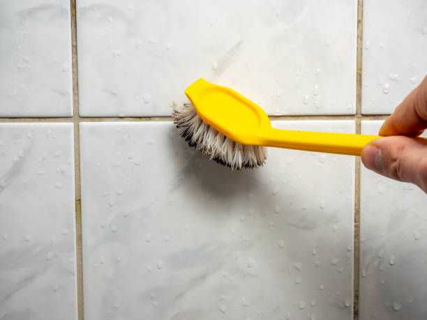 Best Kitchen Mold Remediation in Sun Prairie, WI